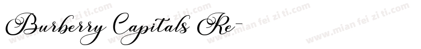 Burberry Capitals Re字体转换
